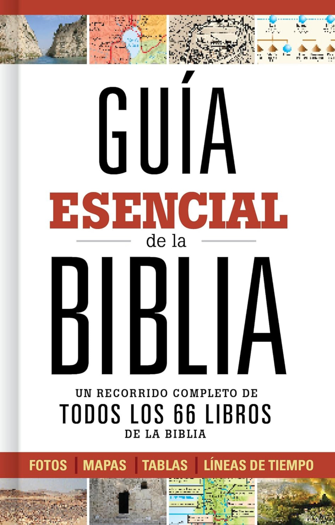 Guía esencial de la biblia