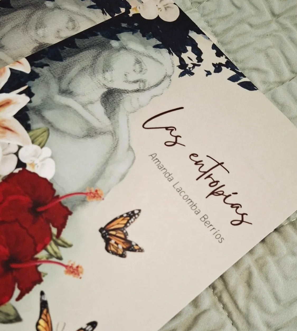 Las Entropías 🇵🇷